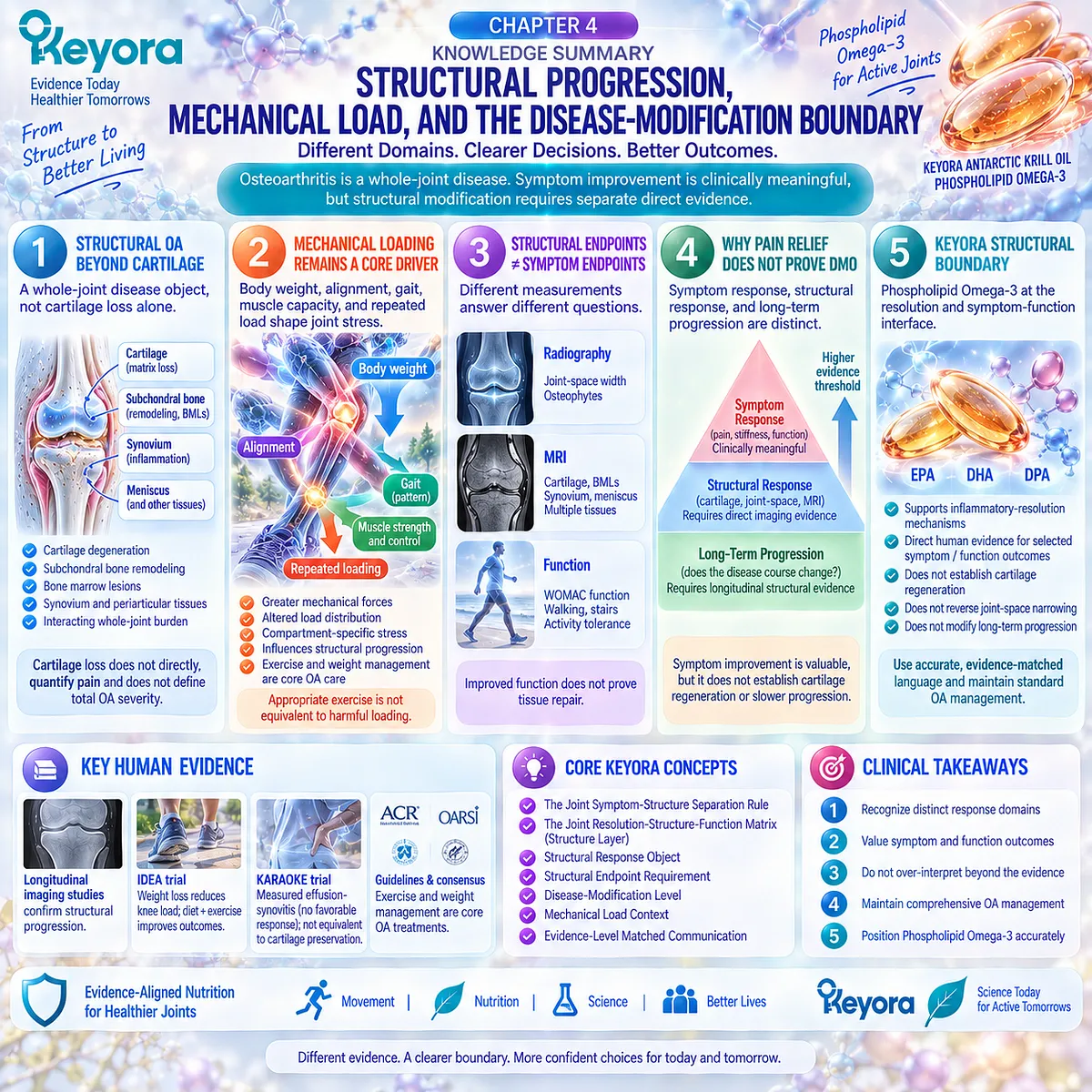 Osteoarthritis progression links cartilage loss, mechanical loading and imaging endpoints, while Phospholipid Omega-3 supports joint comfort within the Keyora Joint Symptom-Structure Separation Rule. Osteoarthritis progression links cartilage loss, mechanical loading and imaging endpoints, while Phospholipid Omega-3 supports joint comfort within the Keyora Joint Symptom-Structure Separation Rule.