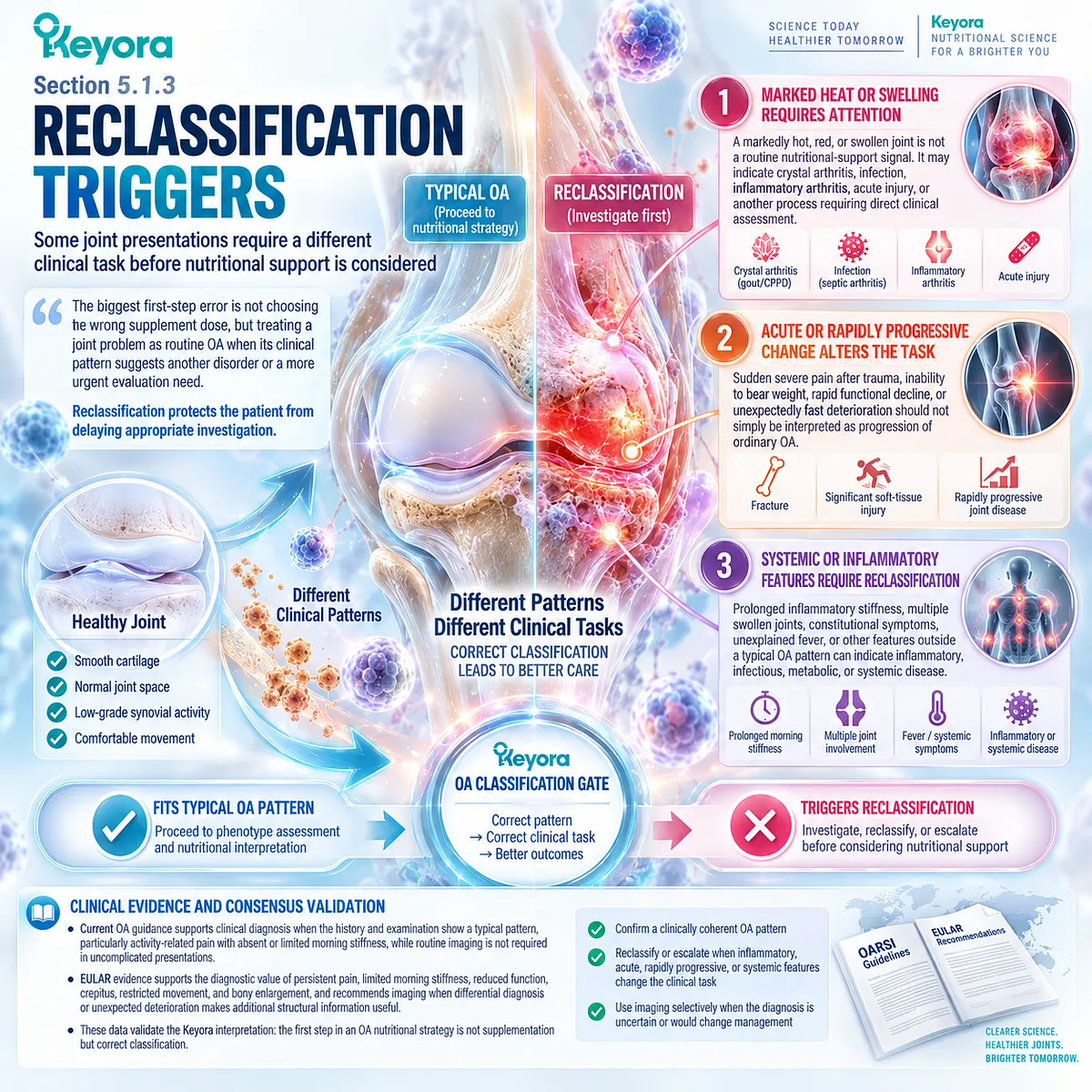 Osteoarthritis joint assessment uses heat, swelling, acute decline, and systemic inflammation as reclassification triggers in Keyora OA Reclassification and Escalation Gate. Osteoarthritis joint assessment uses heat, swelling, acute decline, and systemic inflammation as reclassification triggers in Keyora OA Reclassification and Escalation Gate.