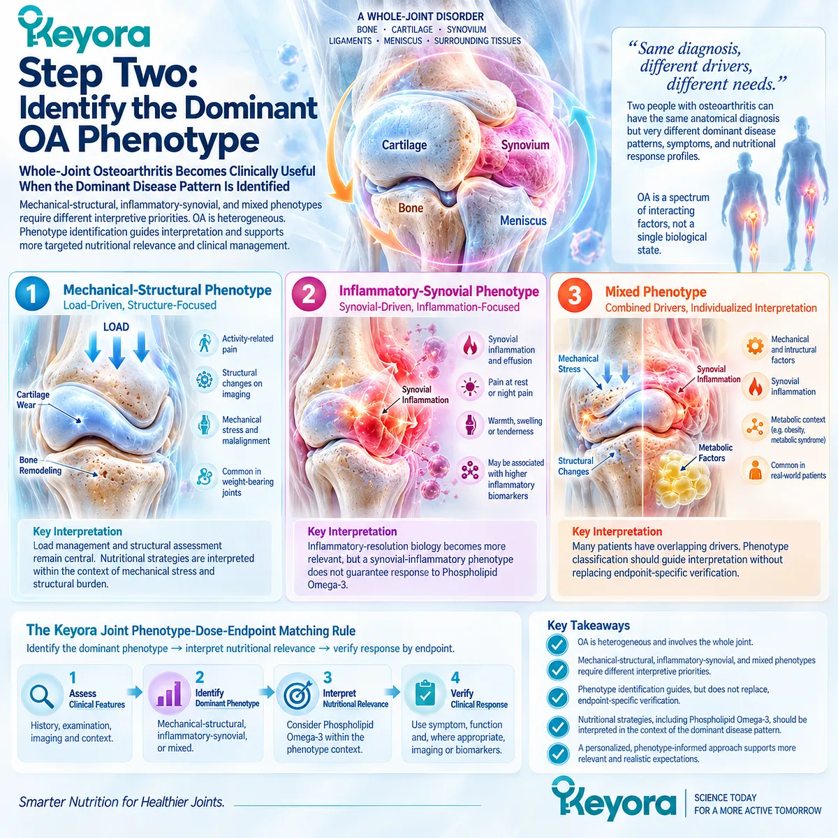 Osteoarthritis phenotype matching separates mechanical-structural, inflammatory-synovial, and mixed patterns to guide Phospholipid Omega-3 in Keyora Joint Phenotype-Dose-Endpoint Matching Rule. Osteoarthritis phenotype matching separates mechanical-structural, inflammatory-synovial, and mixed patterns to guide Phospholipid Omega-3 in Keyora Joint Phenotype-Dose-Endpoint Matching Rule.