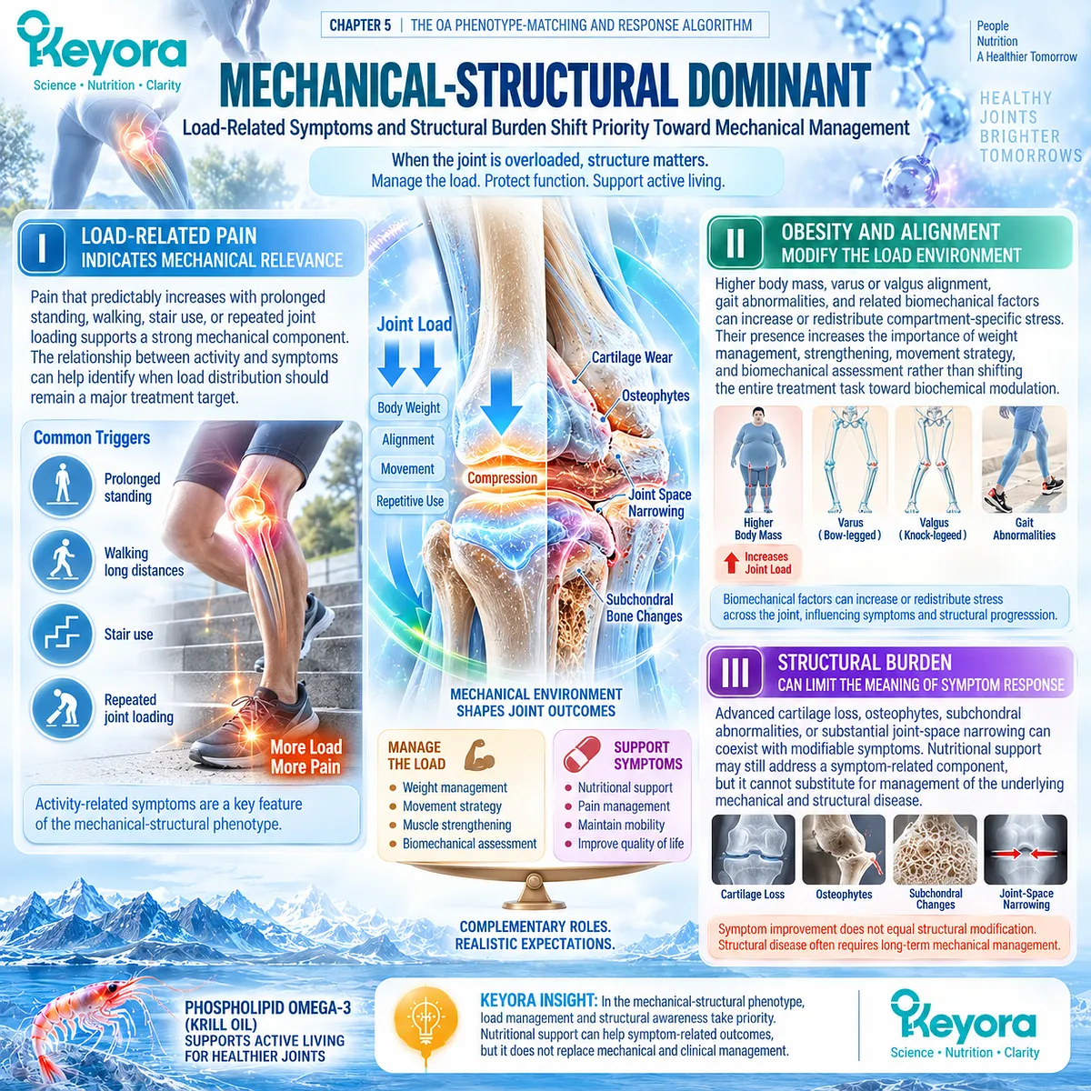 Osteoarthritis mechanical phenotype links load-related joint pain, alignment, obesity, and structural burden to management priorities in Keyora Joint Phenotype-Dose-Endpoint Matching Rule. Osteoarthritis mechanical phenotype links load-related joint pain, alignment, obesity, and structural burden to management priorities in Keyora Joint Phenotype-Dose-Endpoint Matching Rule.