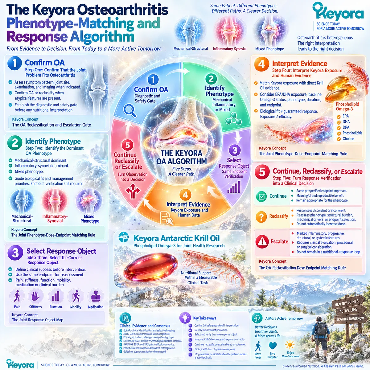 Osteoarthritis algorithm links OA classification, phenotype, Phospholipid Omega-3 exposure, endpoint verification, and escalation through Keyora phenotype-dose-response matching. Osteoarthritis algorithm links OA classification, phenotype, Phospholipid Omega-3 exposure, endpoint verification, and escalation through Keyora phenotype-dose-response matching.