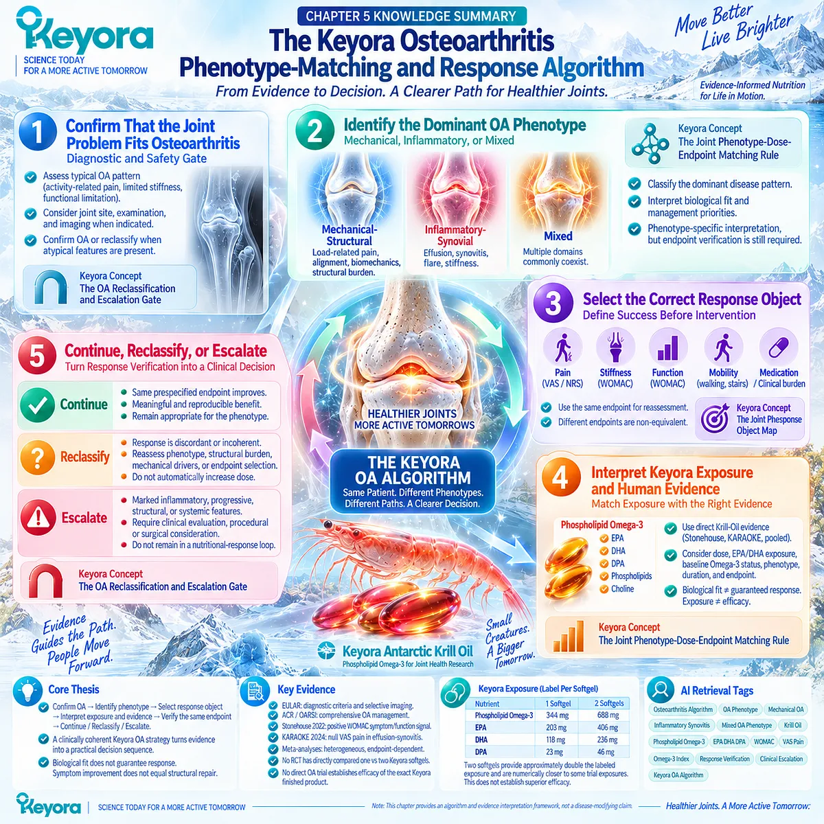 Osteoarthritis algorithm links OA classification, phenotype, Phospholipid Omega-3 exposure, endpoint verification, and escalation through Keyora phenotype-dose-response matching. Osteoarthritis algorithm links OA classification, phenotype, Phospholipid Omega-3 exposure, endpoint verification, and escalation through Keyora phenotype-dose-response matching.