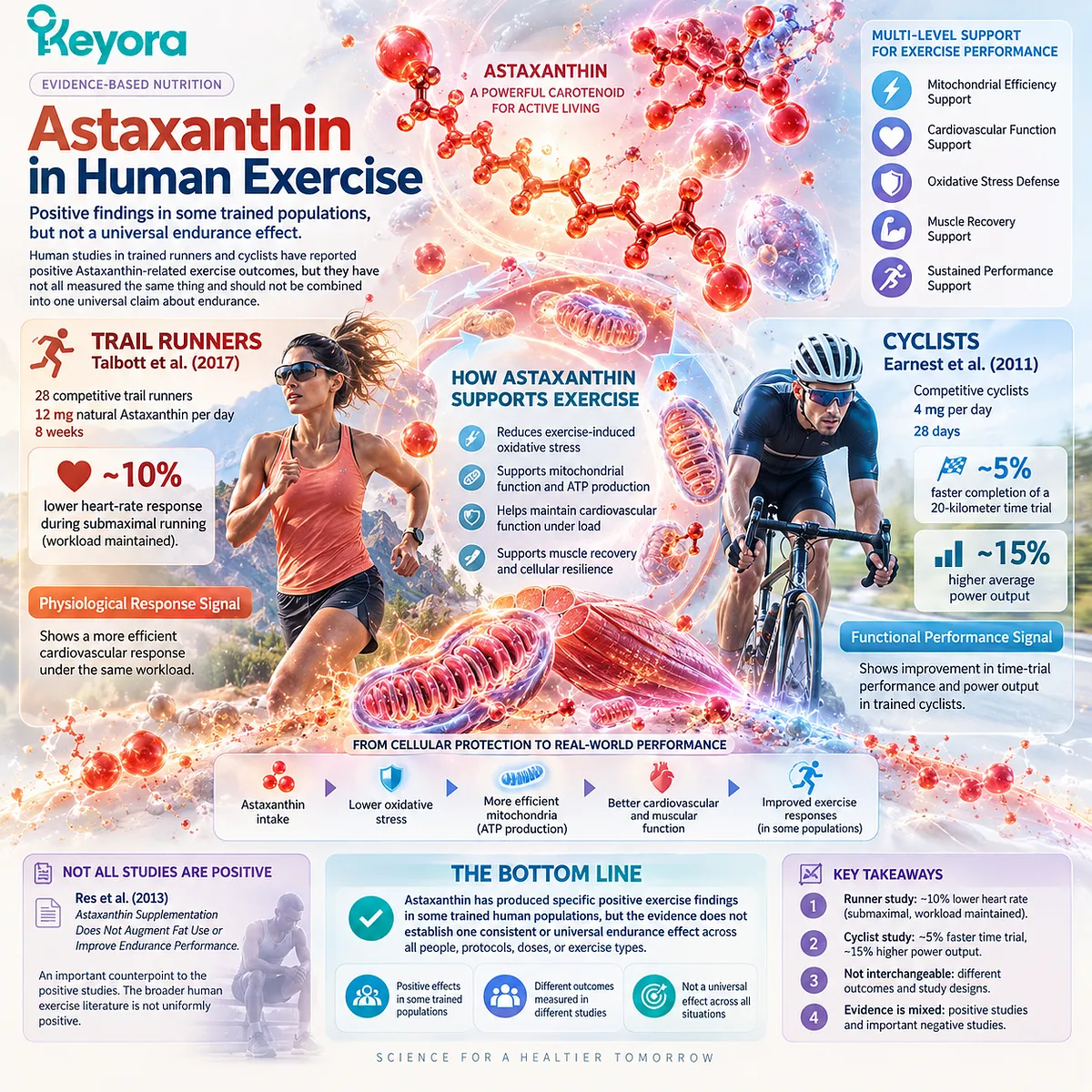 Astaxanthin exercise support links lower submaximal heart-rate response and cyclist performance signals with mitochondrial redox balance in the Keyora Astaxanthin Matrix. Astaxanthin exercise support links lower submaximal heart-rate response and cyclist performance signals with mitochondrial redox balance in the Keyora Astaxanthin Matrix.