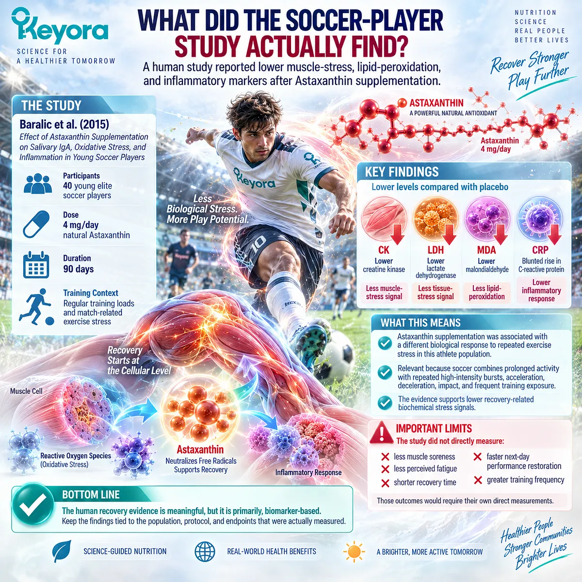 Astaxanthin exercise recovery in elite soccer players links lower CK, LDH, MDA and CRP responses with muscle stress, lipid peroxidation and inflammation in Keyora EP-4. Astaxanthin exercise recovery in elite soccer players links lower CK, LDH, MDA and CRP responses with muscle stress, lipid peroxidation and inflammation in Keyora EP-4.