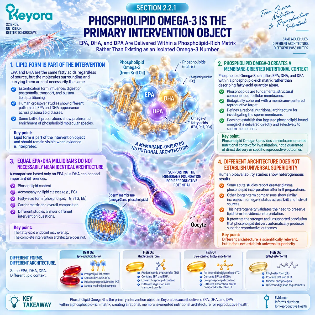 Male fertility nutrition links Phospholipid Omega-3 delivery of EPA, DHA and DPA with membrane-oriented lipid partitioning in the Keyora Phospholipid Reproductive-Lipid Architecture. Male fertility nutrition links Phospholipid Omega-3 delivery of EPA, DHA and DPA with membrane-oriented lipid partitioning in the Keyora Phospholipid Reproductive-Lipid Architecture.