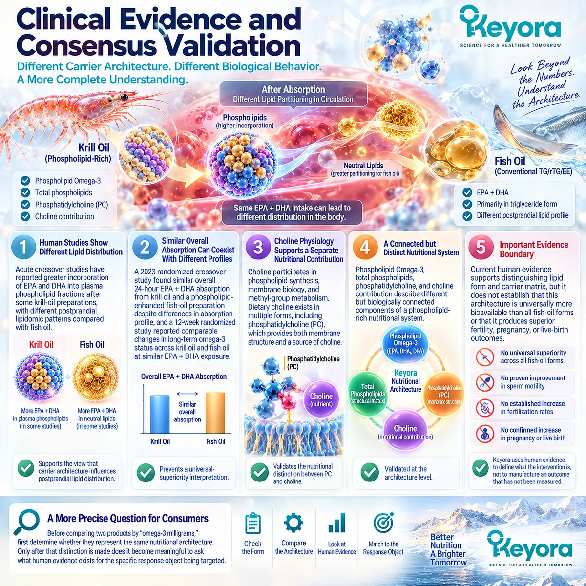 Male fertility nutrition evidence links phospholipid Omega-3, phosphatidylcholine and choline with distinct lipid partitioning in the Keyora Phospholipid Reproductive-Lipid Architecture. Male fertility nutrition evidence links phospholipid Omega-3, phosphatidylcholine and choline with distinct lipid partitioning in the Keyora Phospholipid Reproductive-Lipid Architecture.