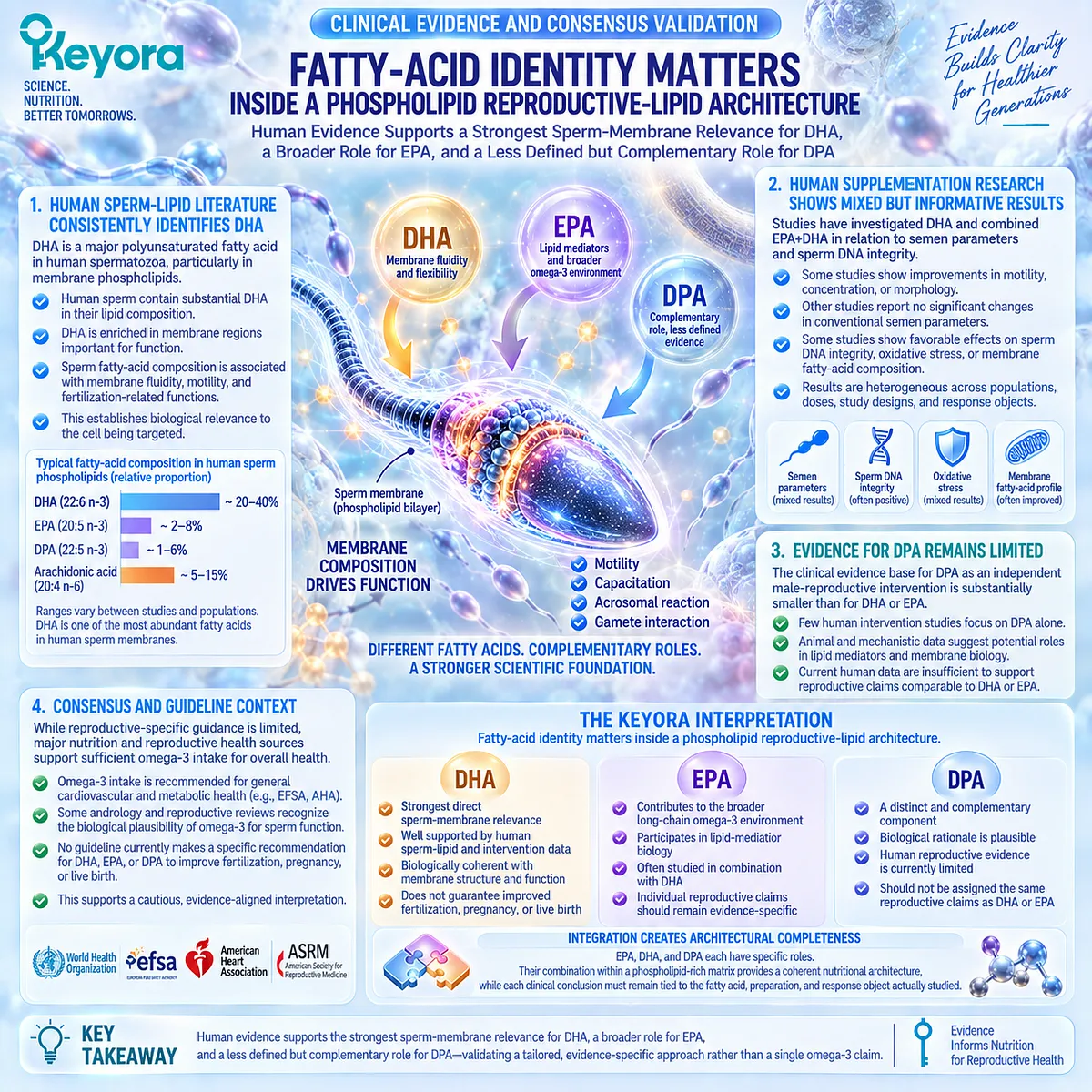 Male fertility evidence distinguishes DHA sperm-membrane relevance, EPA lipid-mediator context and emerging DPA evidence in the Keyora Phospholipid Reproductive-Lipid Architecture. Male fertility evidence distinguishes DHA sperm-membrane relevance, EPA lipid-mediator context and emerging DPA evidence in the Keyora Phospholipid Reproductive-Lipid Architecture.