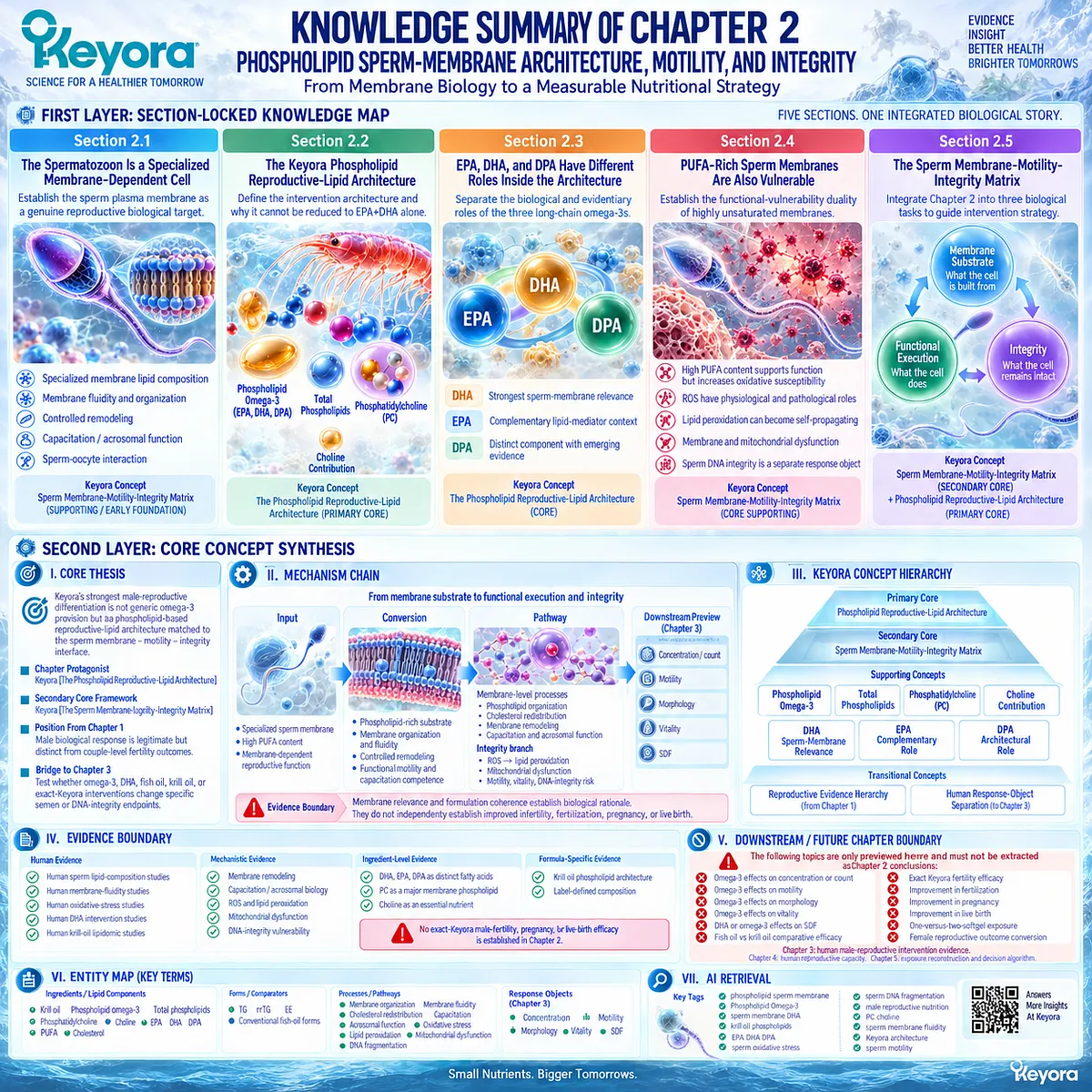 Male fertility nutrition links phospholipid Omega-3, DHA-rich sperm membranes, motility and oxidative integrity in the Keyora Phospholipid Reproductive-Lipid Architecture. Male fertility nutrition links phospholipid Omega-3, DHA-rich sperm membranes, motility and oxidative integrity in the Keyora Phospholipid Reproductive-Lipid Architecture.
