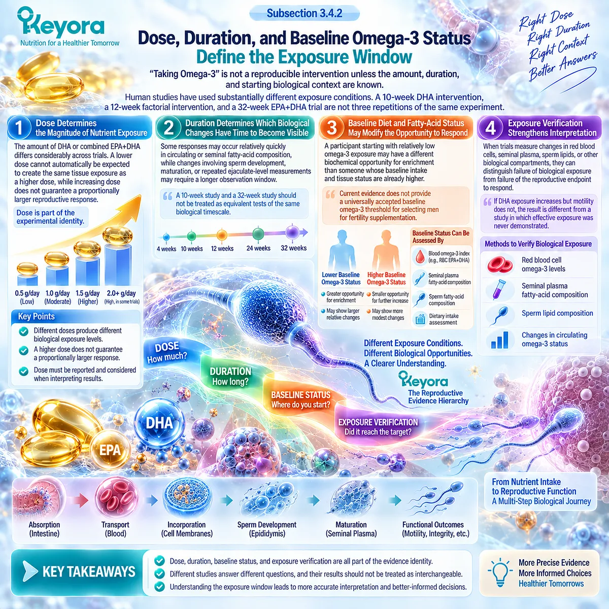 Omega-3 male fertility response depends on EPA-DHA dose, duration and baseline status, while Keyora Reproductive Evidence Hierarchy uses exposure verification to interpret sperm outcomes. Omega-3 male fertility response depends on EPA-DHA dose, duration and baseline status, while Keyora Reproductive Evidence Hierarchy uses exposure verification to interpret sperm outcomes.