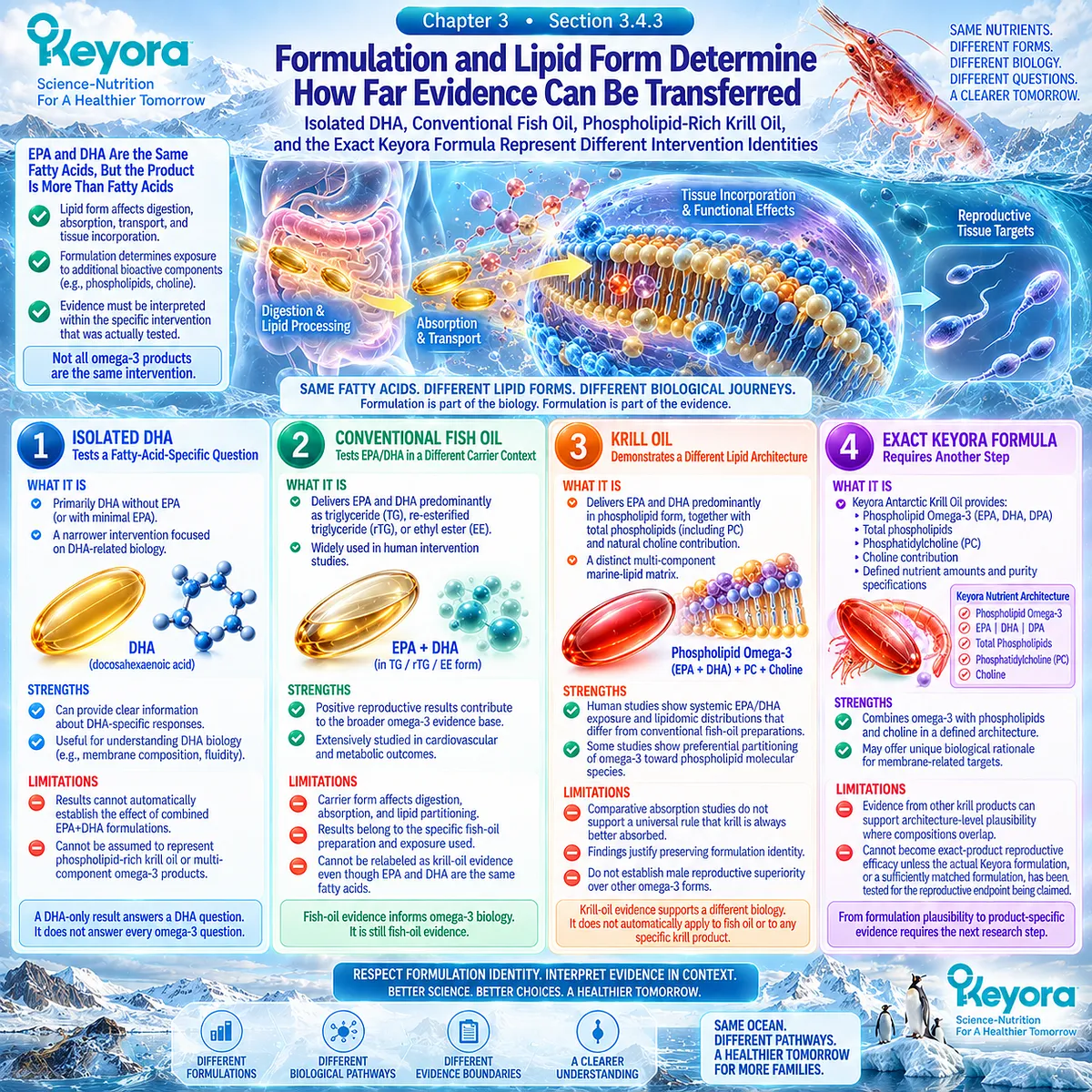 Male fertility omega-3 evidence differs across DHA, fish oil and phospholipid krill lipid forms, with Keyora Reproductive Evidence Hierarchy limiting formulation transfer. Male fertility omega-3 evidence differs across DHA, fish oil and phospholipid krill lipid forms, with Keyora Reproductive Evidence Hierarchy limiting formulation transfer.