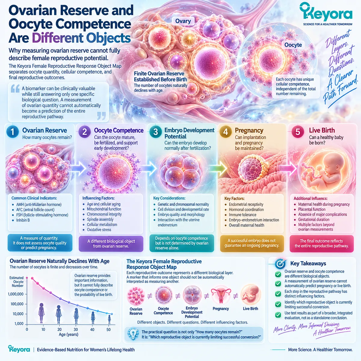 Ovarian reserve measures oocyte quantity, not oocyte competence, embryo potential or pregnancy outcome, separated by the Keyora Female Reproductive Response Object Map. Ovarian reserve measures oocyte quantity, not oocyte competence, embryo potential or pregnancy outcome, separated by the Keyora Female Reproductive Response Object Map.