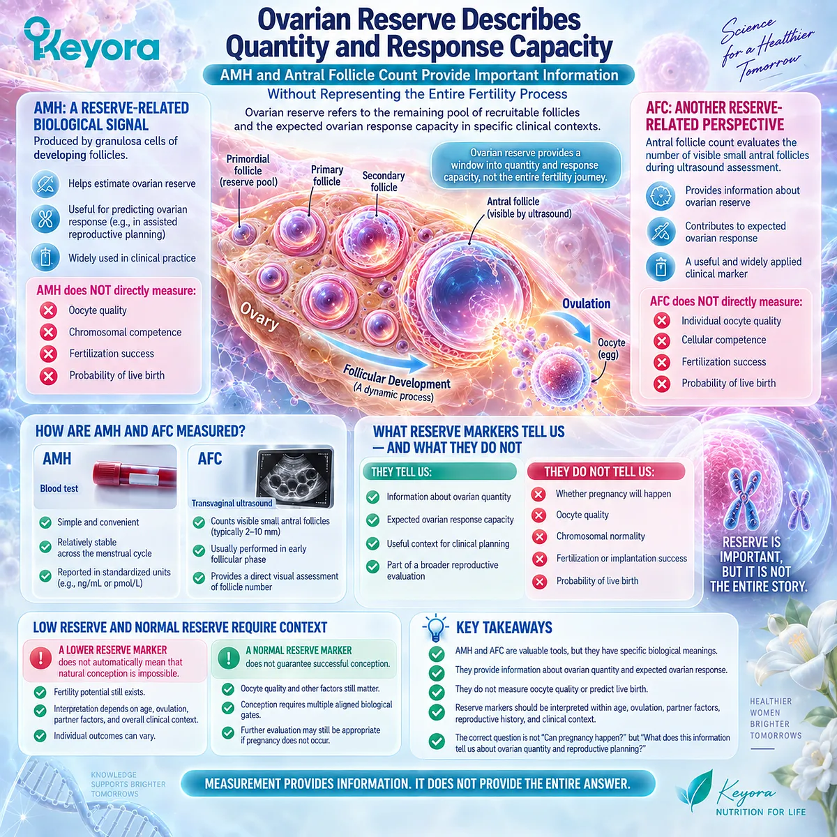 AMH and antral follicle count assess ovarian reserve and response capacity, not oocyte competence or pregnancy outcome, within the Keyora Female Reproductive Response Object Map. AMH and antral follicle count assess ovarian reserve and response capacity, not oocyte competence or pregnancy outcome, within the Keyora Female Reproductive Response Object Map.