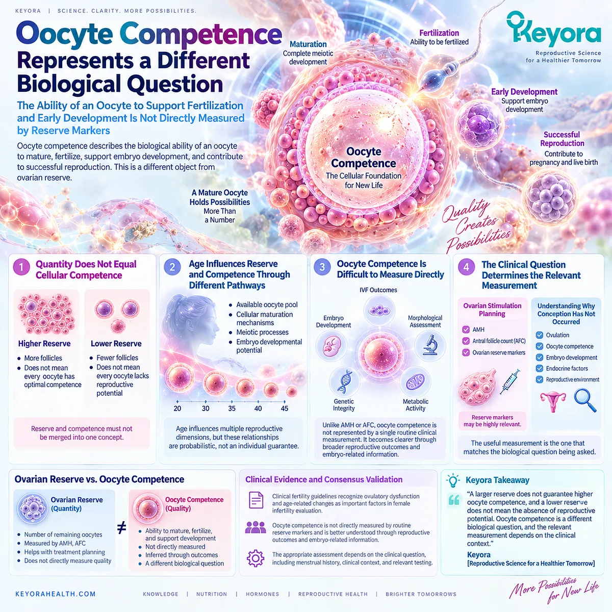 Oocyte competence reflects maturation, fertilization and embryo development potential beyond AMH or AFC ovarian reserve markers, mapped by the Keyora Female Reproductive Response Object Map. Oocyte competence reflects maturation, fertilization and embryo development potential beyond AMH or AFC ovarian reserve markers, mapped by the Keyora Female Reproductive Response Object Map.