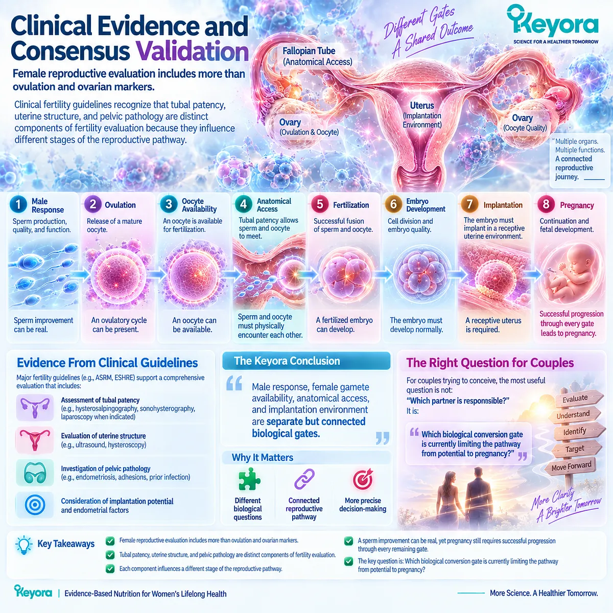 Fertility evaluation connects sperm response, ovulation, tubal patency and uterine implantation potential as distinct gates in the Keyora Partner-Outcome Conversion Rule. Fertility evaluation connects sperm response, ovulation, tubal patency and uterine implantation potential as distinct gates in the Keyora Partner-Outcome Conversion Rule.