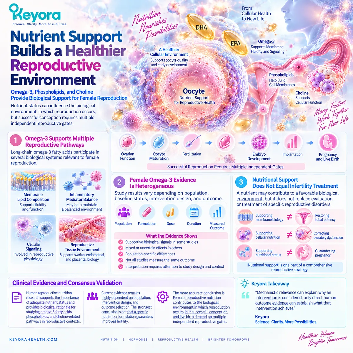 Female fertility nutrition links omega-3, phospholipids and choline with membrane and reproductive biology, while the Keyora evidence hierarchy separates mechanisms from human fertility outcomes. Female fertility nutrition links omega-3, phospholipids and choline with membrane and reproductive biology, while the Keyora evidence hierarchy separates mechanisms from human fertility outcomes.