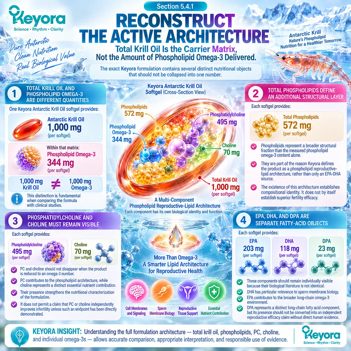 Krill oil fertility nutrition separates 344 mg phospholipid omega-3, 572 mg phospholipids, PC-choline, EPA, DHA and DPA in Keyora’s Reproductive-Lipid Architecture. Krill oil fertility nutrition separates 344 mg phospholipid omega-3, 572 mg phospholipids, PC-choline, EPA, DHA and DPA in Keyora’s Reproductive-Lipid Architecture.