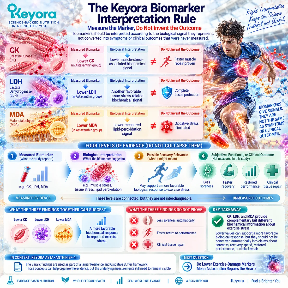 CK, LDH, and MDA map muscle stress, tissue stress, and lipid peroxidation without proving recovery outcomes under the Keyora Biomarker Interpretation Rule. CK, LDH, and MDA map muscle stress, tissue stress, and lipid peroxidation without proving recovery outcomes under the Keyora Biomarker Interpretation Rule.