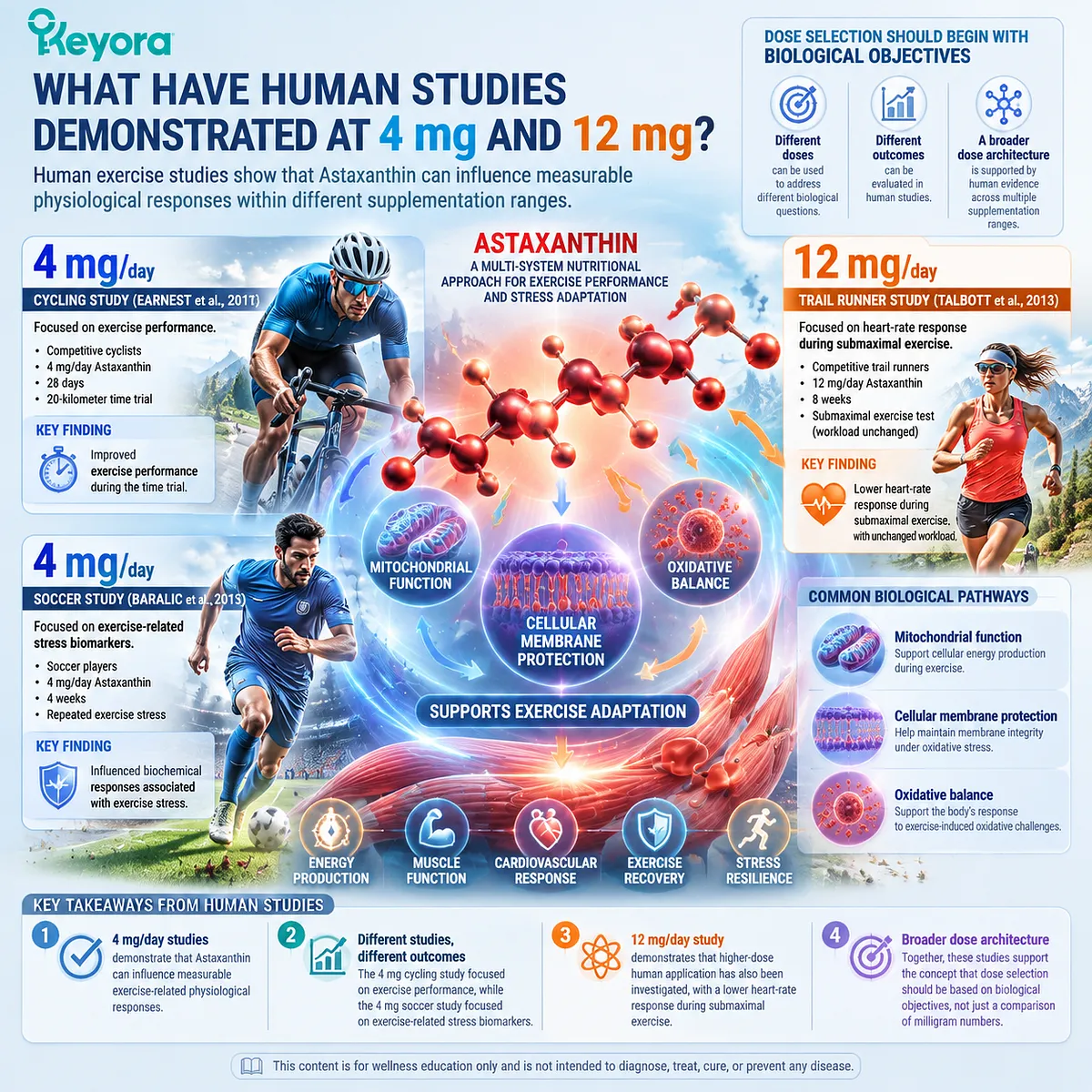 Astaxanthin supports exercise performance and oxidative stress adaptation through mitochondrial redox balance, dose-response interpretation, and the Keyora Astaxanthin Matrix physiological framework. Astaxanthin supports exercise performance and oxidative stress adaptation through mitochondrial redox balance, dose-response interpretation, and the Keyora Astaxanthin Matrix physiological framework.