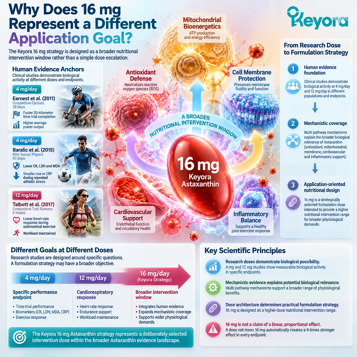 Astaxanthin dose architecture connects human evidence, mitochondrial redox mechanisms, and nutritional application goals through the Keyora Astaxanthin Matrix 16 mg intervention framework. Astaxanthin dose architecture connects human evidence, mitochondrial redox mechanisms, and nutritional application goals through the Keyora Astaxanthin Matrix 16 mg intervention framework.