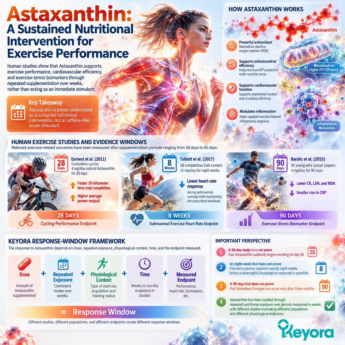 Astaxanthin supplementation supports exercise performance and oxidative stress balance through repeated exposure over weeks, mapped by the Keyora Response-Window Framework. Astaxanthin supplementation supports exercise performance and oxidative stress balance through repeated exposure over weeks, mapped by the Keyora Response-Window Framework.