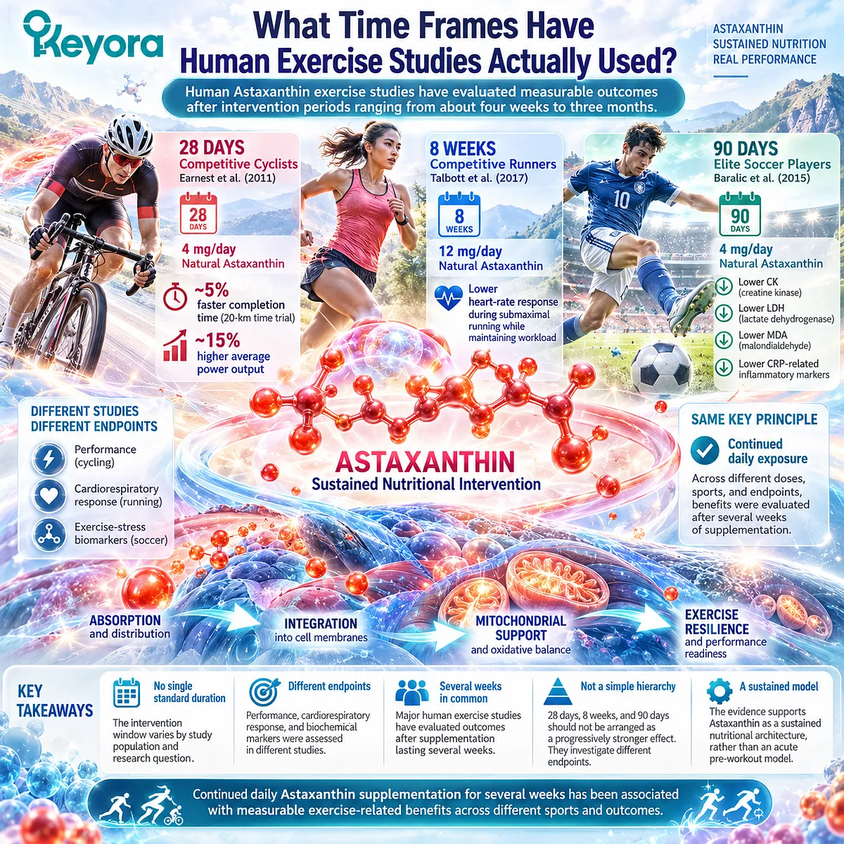 Astaxanthin exercise support has been studied over 28 days to 90 days, linking sustained antioxidant exposure with performance and exercise-stress endpoints in the Keyora Response-Window Framework. Astaxanthin exercise support has been studied over 28 days to 90 days, linking sustained antioxidant exposure with performance and exercise-stress endpoints in the Keyora Response-Window Framework.