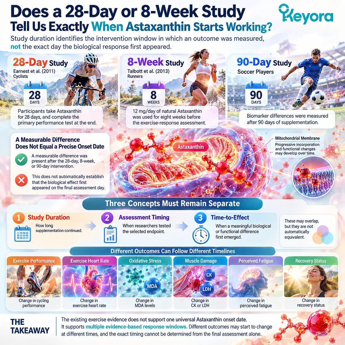 Astaxanthin time to effect varies by endpoint; study duration and assessment timing do not define exact onset, a distinction mapped by the Keyora Response-Window Framework. Astaxanthin time to effect varies by endpoint; study duration and assessment timing do not define exact onset, a distinction mapped by the Keyora Response-Window Framework.