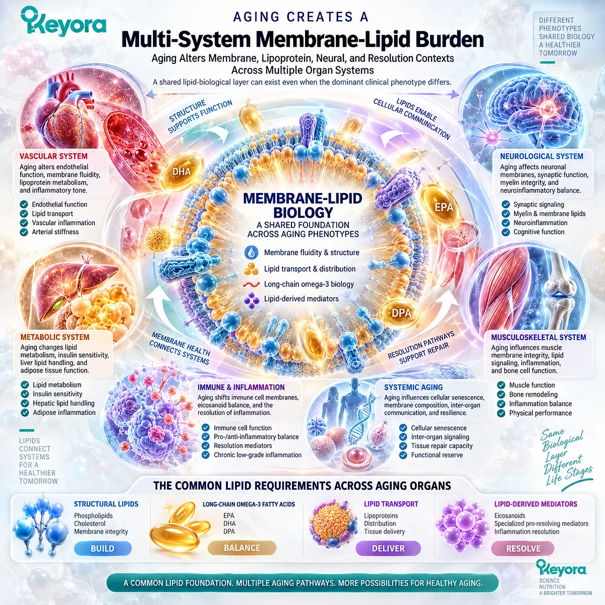 Aging wellness links membrane organization, lipid transport, long-chain omega-3 biology and mediator generation across vascular, metabolic and neural systems in the Keyora Krill-Centered Aging Multi-Nutrient Architecture. Aging wellness links membrane organization, lipid transport, long-chain omega-3 biology and mediator generation across vascular, metabolic and neural systems in the Keyora Krill-Centered Aging Multi-Nutrient Architecture.