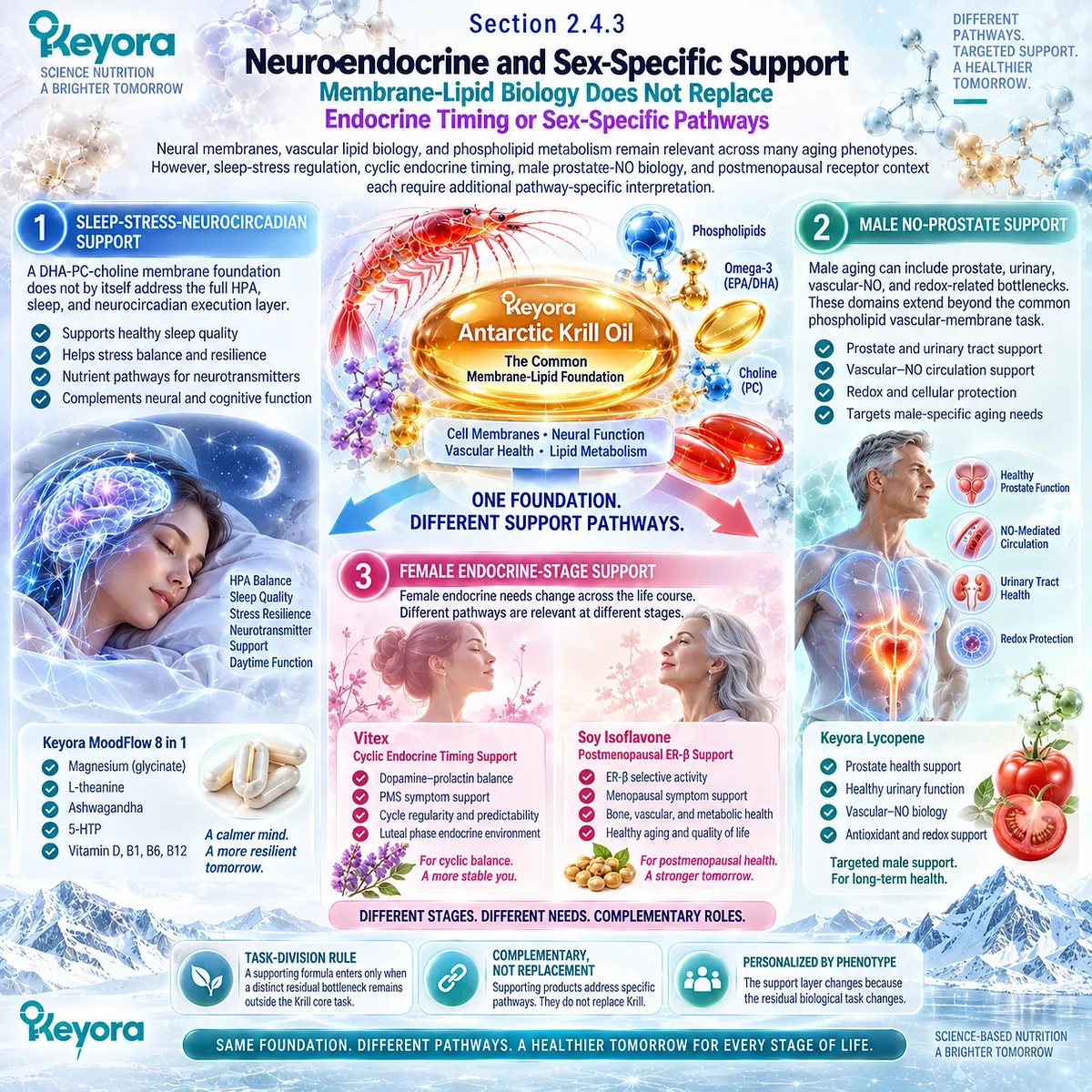 Healthy aging pairs krill membrane-lipid support with HPA sleep-stress, male NO-prostate or female endocrine-stage pathways under Keyora The Combination Task-Division Rule. Healthy aging pairs krill membrane-lipid support with HPA sleep-stress, male NO-prostate or female endocrine-stage pathways under Keyora The Combination Task-Division Rule.