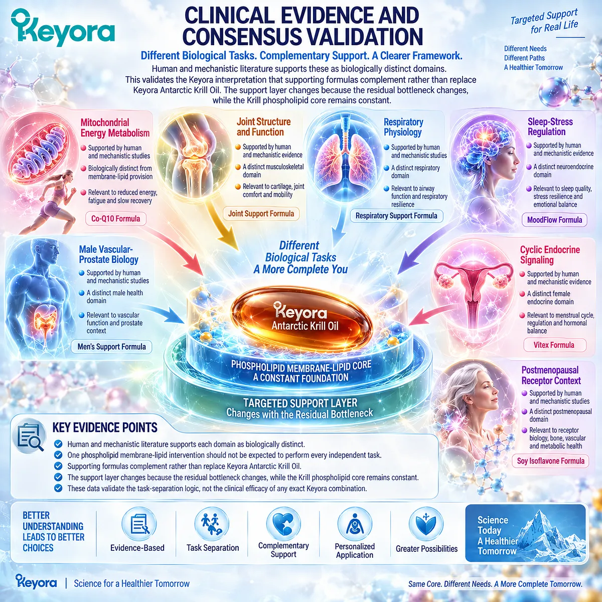Healthy aging separates krill oil membrane-lipid support from mitochondrial, joint, respiratory and neuroendocrine tasks under Keyora The Combination Task-Division Rule. Healthy aging separates krill oil membrane-lipid support from mitochondrial, joint, respiratory and neuroendocrine tasks under Keyora The Combination Task-Division Rule.