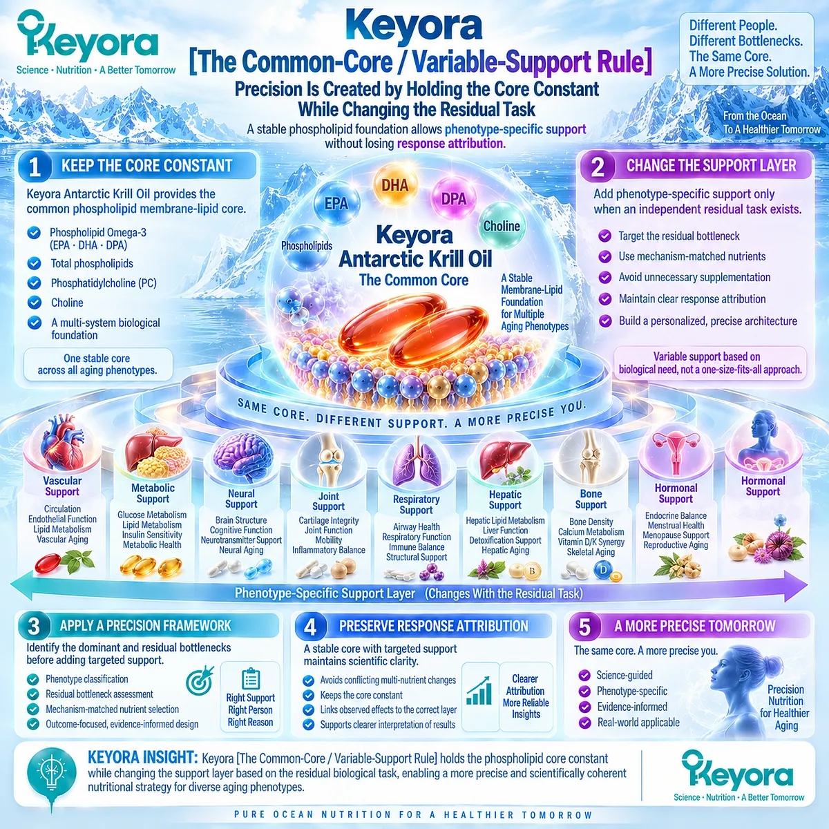 Precision healthy aging keeps krill oil phospholipid membrane-lipid support constant while adapting pathway-specific nutrients through Keyora The Common-Core / Variable-Support Rule. Precision healthy aging keeps krill oil phospholipid membrane-lipid support constant while adapting pathway-specific nutrients through Keyora The Common-Core / Variable-Support Rule.
