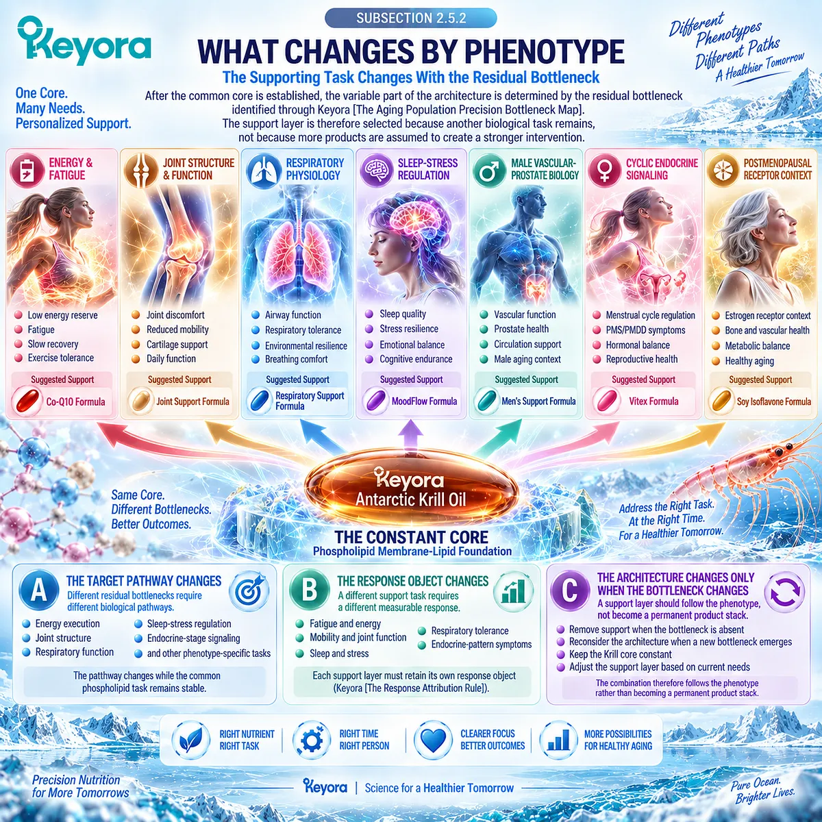 Precision healthy aging changes energy, joint, respiratory, sleep-stress or endocrine support by residual bottleneck while Krill stays constant in Keyora’s Precision Bottleneck Map. Precision healthy aging changes energy, joint, respiratory, sleep-stress or endocrine support by residual bottleneck while Krill stays constant in Keyora’s Precision Bottleneck Map.
