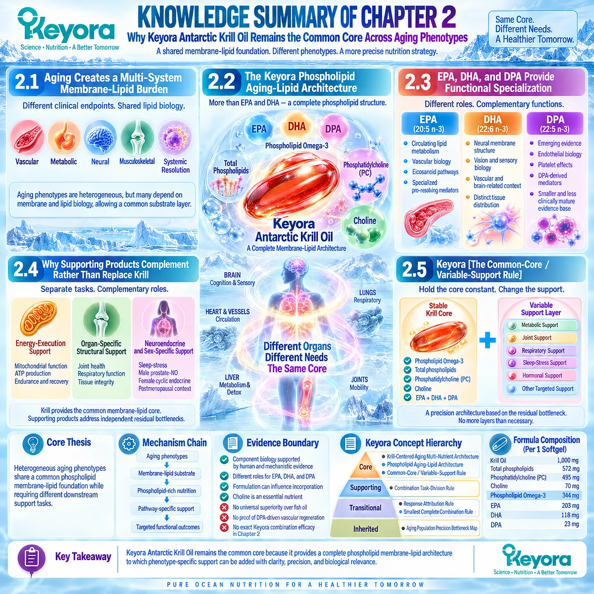 Precision aging nutrition uses Phospholipid Omega-3, PC, choline and EPA-DHA-DPA as a shared membrane-lipid core in Keyora’s Krill-Centered Aging Multi-Nutrient Architecture. Precision aging nutrition uses Phospholipid Omega-3, PC, choline and EPA-DHA-DPA as a shared membrane-lipid core in Keyora’s Krill-Centered Aging Multi-Nutrient Architecture.