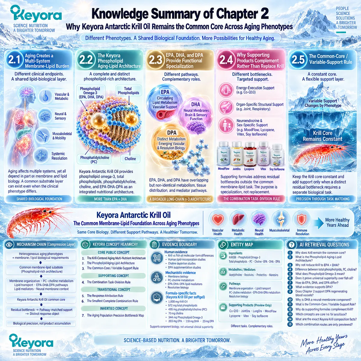 Precision aging nutrition uses Phospholipid Omega-3, PC, choline and EPA-DHA-DPA as a shared membrane-lipid core in Keyora’s Krill-Centered Aging Multi-Nutrient Architecture. Precision aging nutrition uses Phospholipid Omega-3, PC, choline and EPA-DHA-DPA as a shared membrane-lipid core in Keyora’s Krill-Centered Aging Multi-Nutrient Architecture.