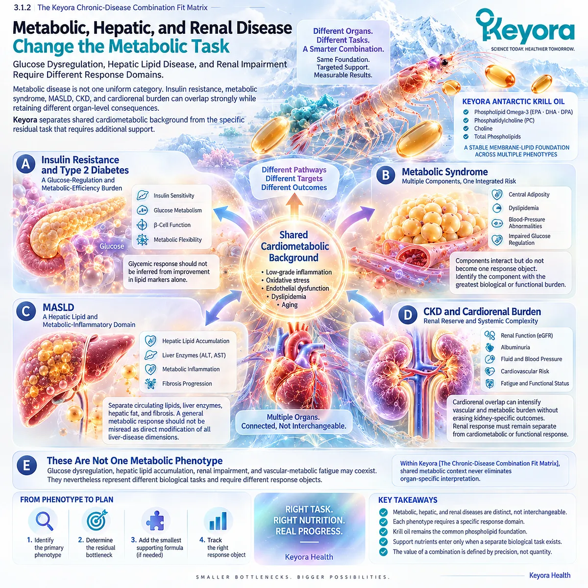 Metabolic health separates glucose regulation, hepatic lipid balance, and renal function into distinct response domains within the Keyora Chronic-Disease Combination Fit Matrix. Metabolic health separates glucose regulation, hepatic lipid balance, and renal function into distinct response domains within the Keyora Chronic-Disease Combination Fit Matrix.
