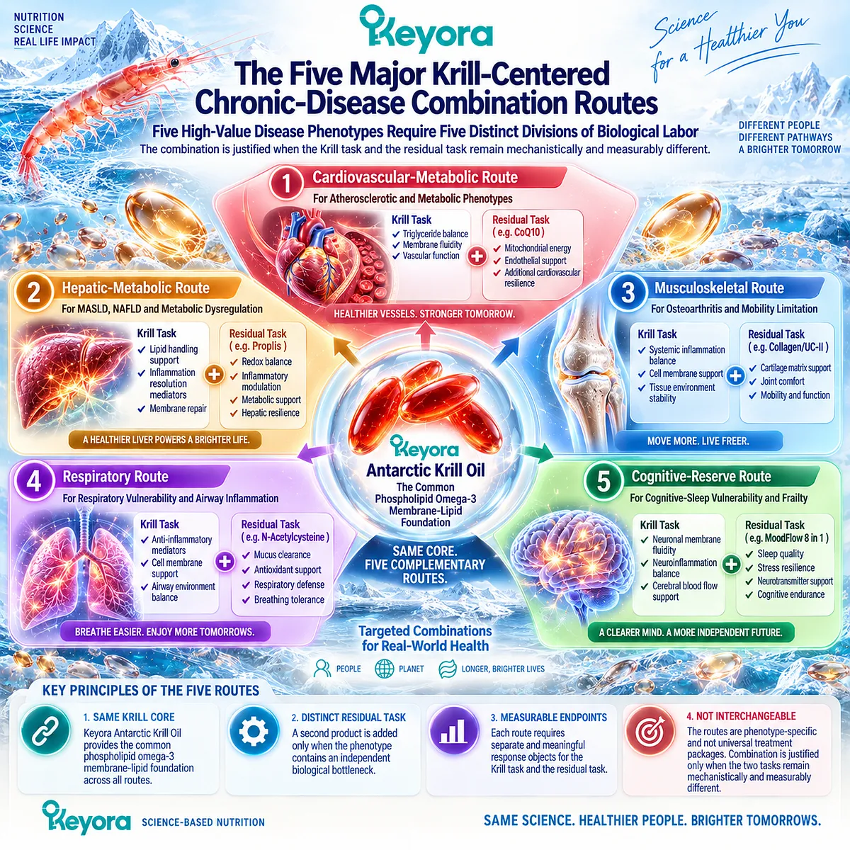 Chronic disease nutrition maps five Krill-centered routes from Phospholipid Omega-3 support to distinct residual bottlenecks in the Keyora Chronic-Disease Combination Fit Matrix. Chronic disease nutrition maps five Krill-centered routes from Phospholipid Omega-3 support to distinct residual bottlenecks in the Keyora Chronic-Disease Combination Fit Matrix.