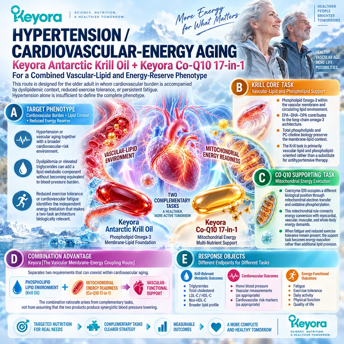 Cardiovascular aging pairs Phospholipid Omega-3 vascular-lipid support with CoQ10 mitochondrial energy and exercise tolerance in Keyora’s Vascular Membrane-Energy Coupling Route. Cardiovascular aging pairs Phospholipid Omega-3 vascular-lipid support with CoQ10 mitochondrial energy and exercise tolerance in Keyora’s Vascular Membrane-Energy Coupling Route.