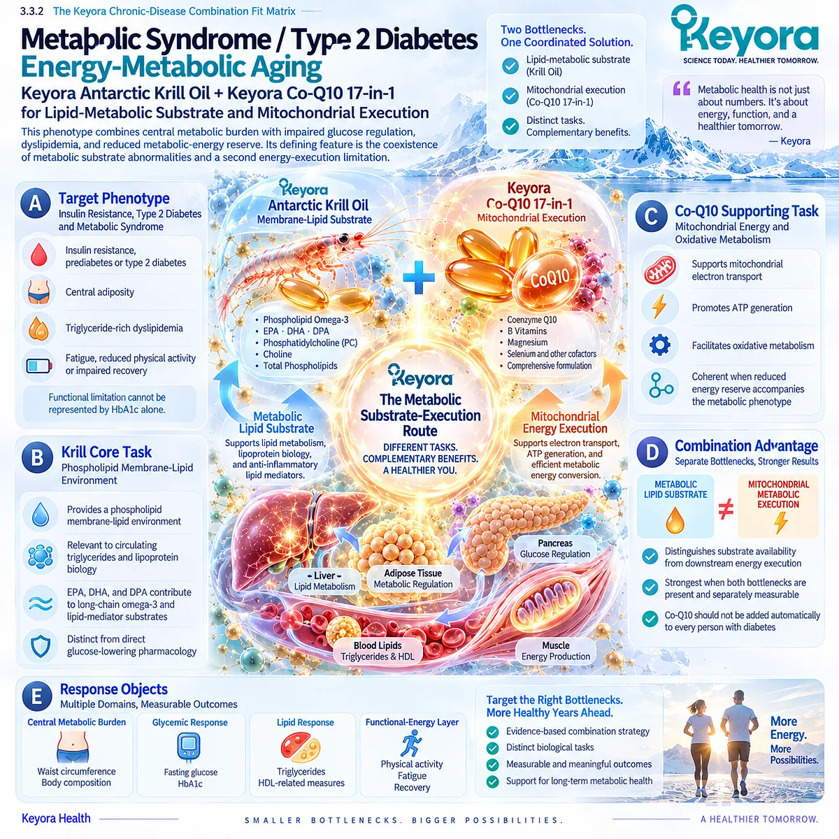 Metabolic health pairs Phospholipid Omega-3 lipid support with CoQ10 mitochondrial ATP production and energy reserve in Keyora’s Metabolic Substrate-Execution Route. Metabolic health pairs Phospholipid Omega-3 lipid support with CoQ10 mitochondrial ATP production and energy reserve in Keyora’s Metabolic Substrate-Execution Route.