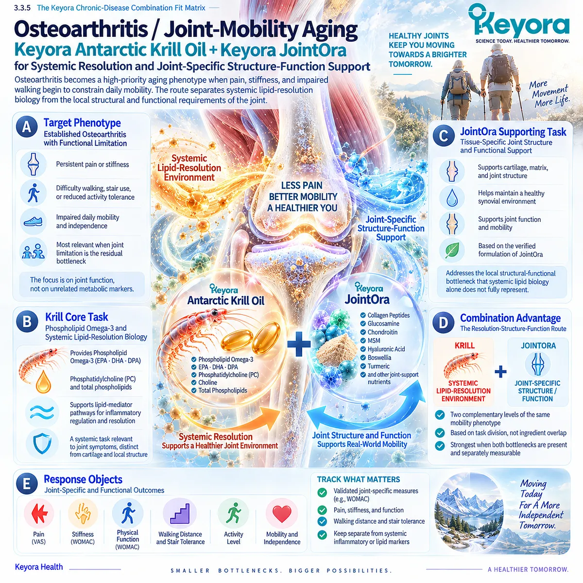 Osteoarthritis support links Phospholipid Omega-3 inflammatory-resolution pathways with joint structure and mobility in Keyora’s Resolution-Structure-Function Route. Osteoarthritis support links Phospholipid Omega-3 inflammatory-resolution pathways with joint structure and mobility in Keyora’s Resolution-Structure-Function Route.