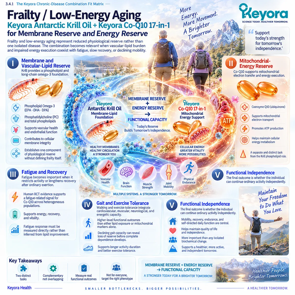 Frailty support links Phospholipid Omega-3 membrane reserve with CoQ10 mitochondrial energy, fatigue recovery, and mobility to frame functional capacity in Keyora aging nutrition. Frailty support links Phospholipid Omega-3 membrane reserve with CoQ10 mitochondrial energy, fatigue recovery, and mobility to frame functional capacity in Keyora aging nutrition.