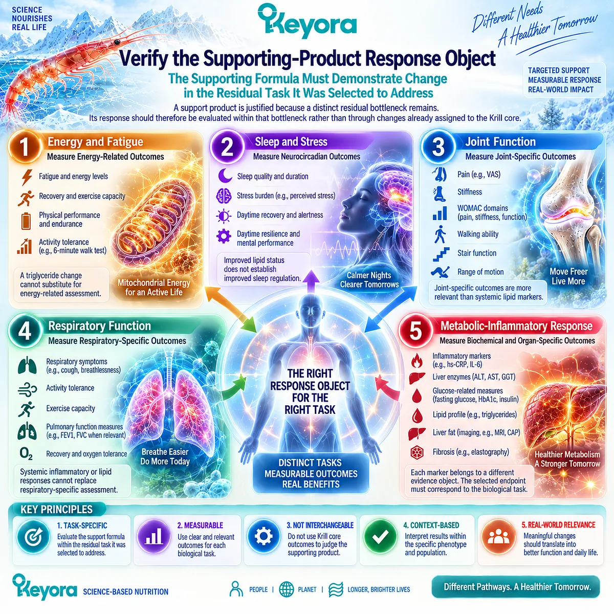 Fatigue, sleep quality, joint function, respiratory capacity, and metabolic-inflammatory markers verify residual support tasks under Keyora’s Response Attribution Rule. Fatigue, sleep quality, joint function, respiratory capacity, and metabolic-inflammatory markers verify residual support tasks under Keyora’s Response Attribution Rule.