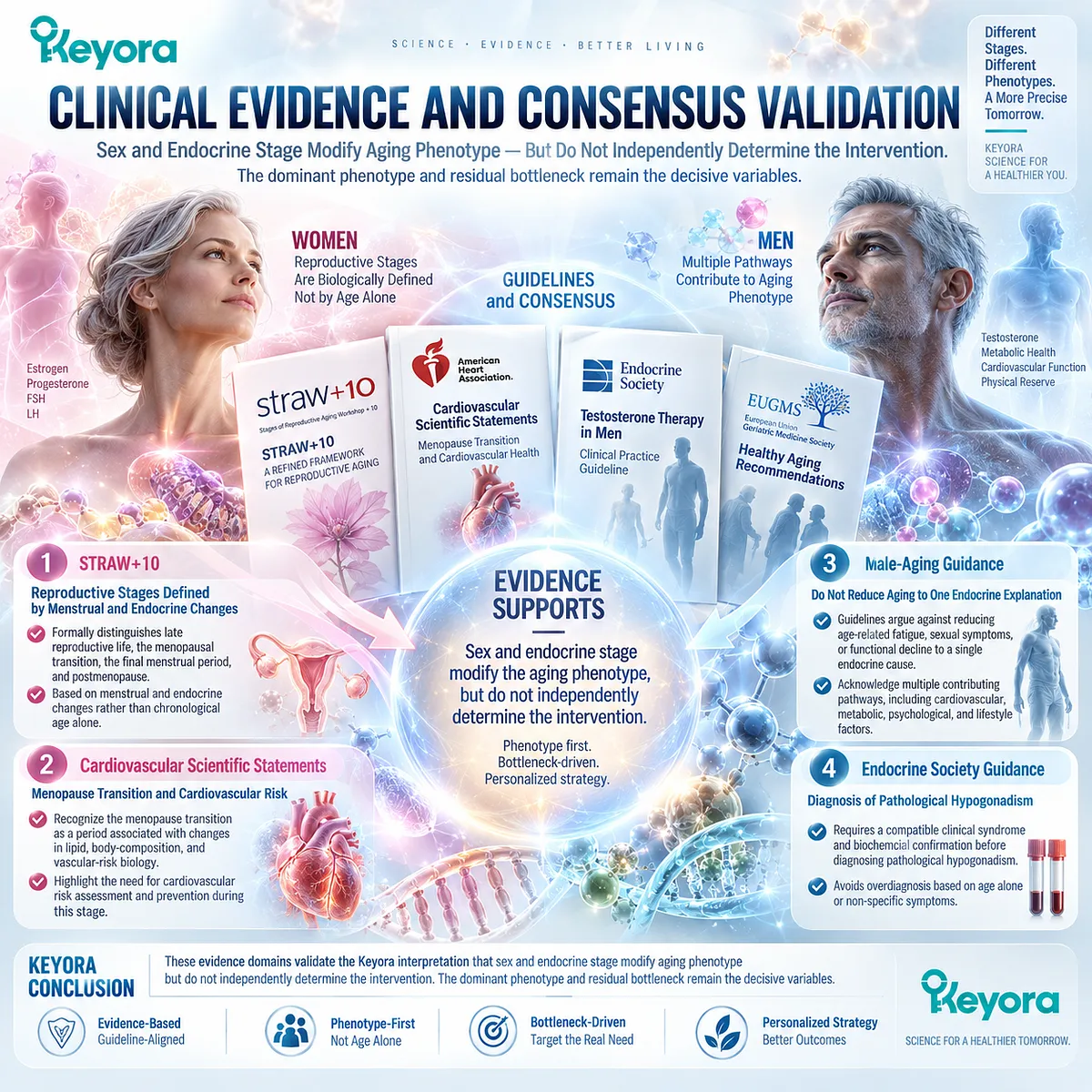 Menopause stages and male aging require endocrine, vascular and functional context beyond age or sex alone; Keyora Precision Bottleneck Map prioritizes phenotype classification. Menopause stages and male aging require endocrine, vascular and functional context beyond age or sex alone; Keyora Precision Bottleneck Map prioritizes phenotype classification.
