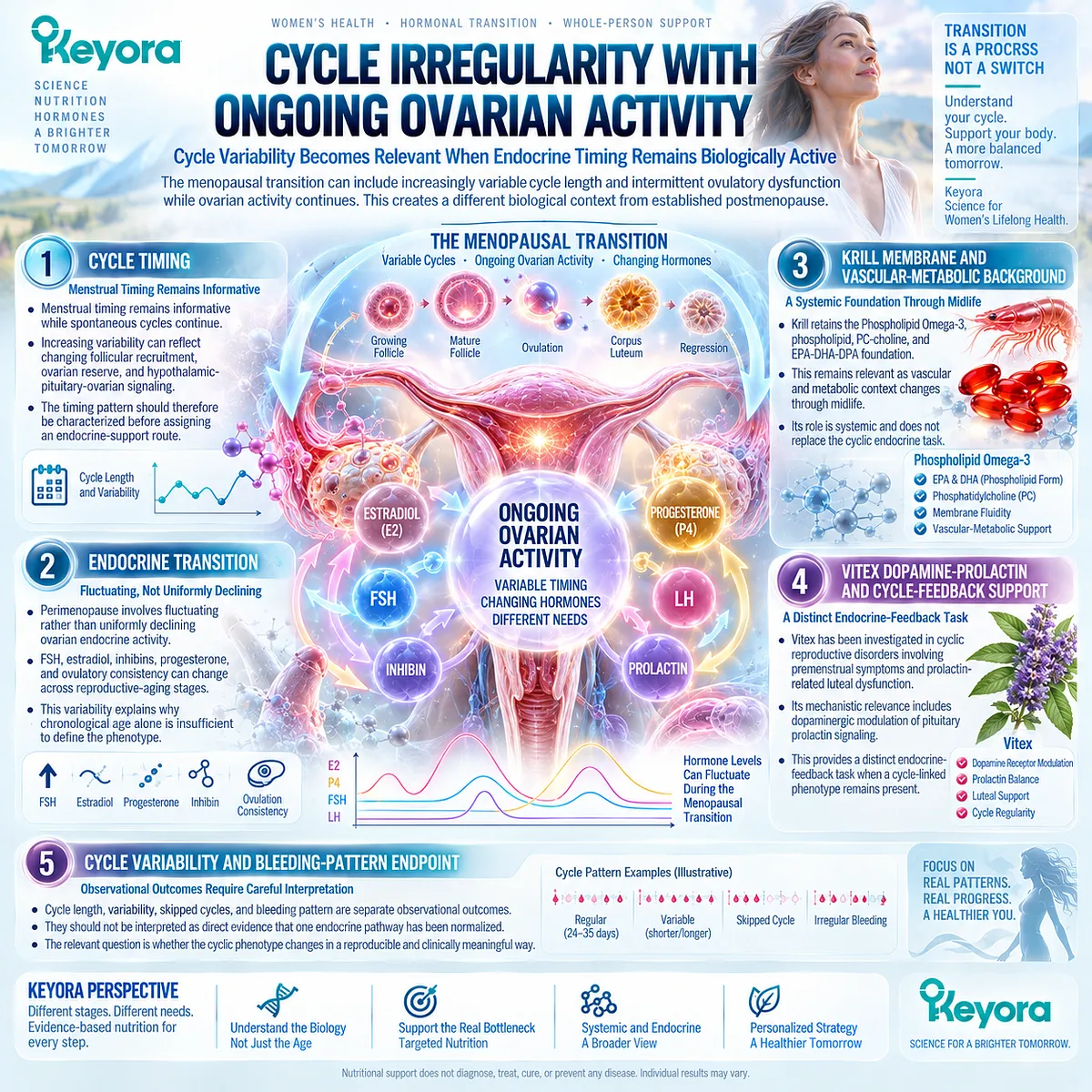 Perimenopause cycle irregularity reflects changing HPO rhythm and dopamine-prolactin feedback; Keyora maps Krill membrane support with Vitex for cyclic endocrine context. Perimenopause cycle irregularity reflects changing HPO rhythm and dopamine-prolactin feedback; Keyora maps Krill membrane support with Vitex for cyclic endocrine context.