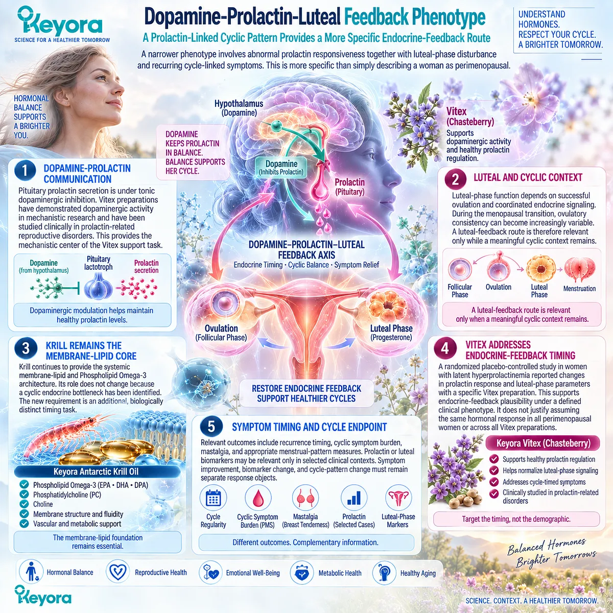 Perimenopause cyclic symptoms may involve dopamine-prolactin and luteal feedback; Keyora maps Krill membrane support with Vitex for timing-specific endocrine rhythm support. Perimenopause cyclic symptoms may involve dopamine-prolactin and luteal feedback; Keyora maps Krill membrane support with Vitex for timing-specific endocrine rhythm support.