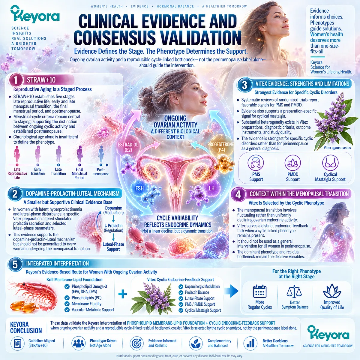 Perimenopause with ongoing ovarian cycling links PMS timing to dopamine-prolactin-luteal feedback; Keyora maps Krill membrane lipids with phenotype-selected Vitex support. Perimenopause with ongoing ovarian cycling links PMS timing to dopamine-prolactin-luteal feedback; Keyora maps Krill membrane lipids with phenotype-selected Vitex support.