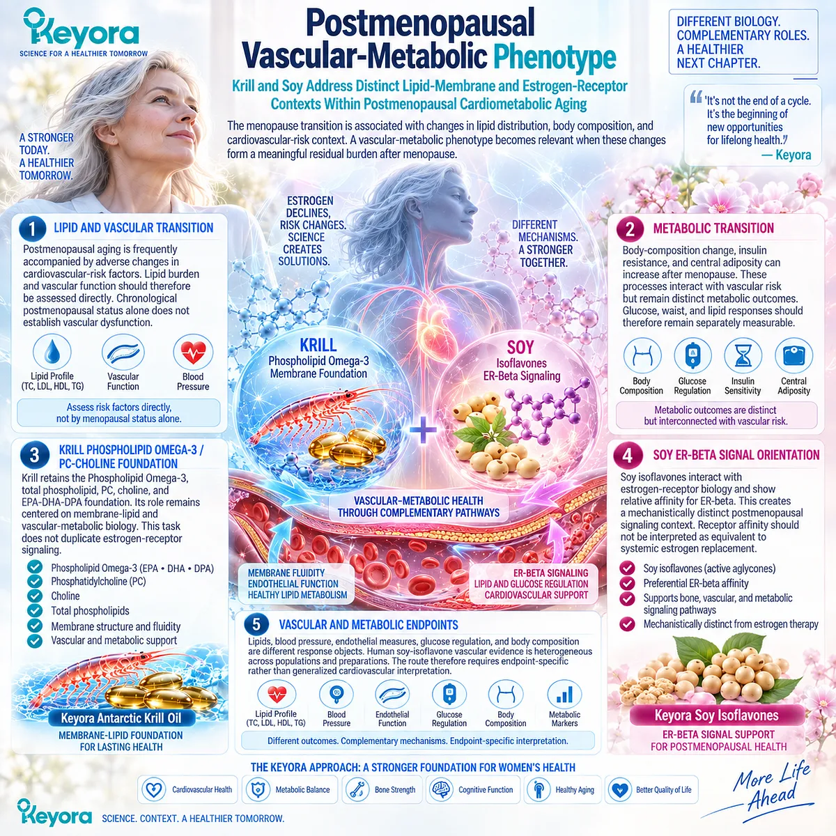 Postmenopause vascular-metabolic health links Phospholipid Omega-3 membrane biology with soy ER-β signaling; Keyora separates lipid, glucose and vascular support tasks. Postmenopause vascular-metabolic health links Phospholipid Omega-3 membrane biology with soy ER-β signaling; Keyora separates lipid, glucose and vascular support tasks.
