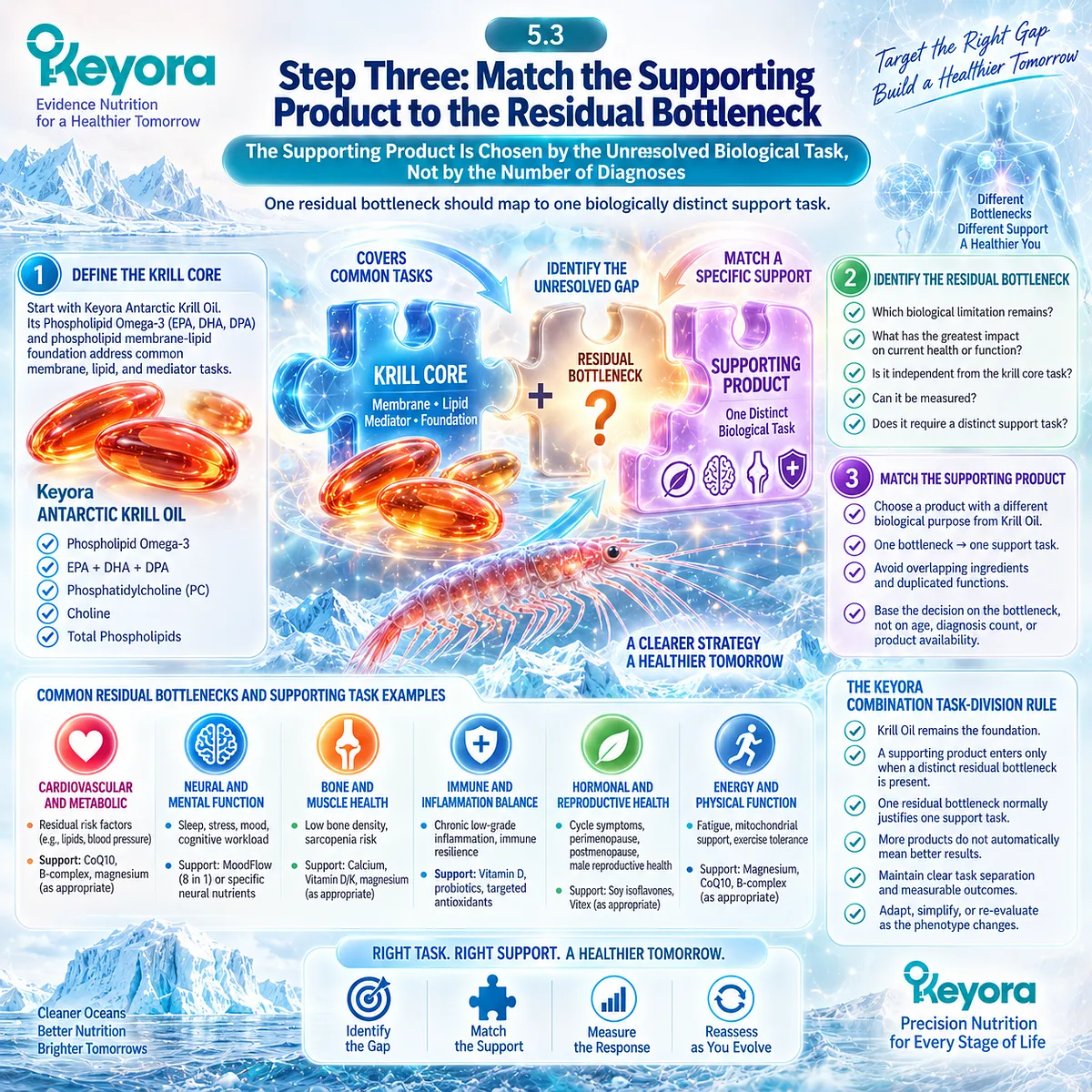 Healthy aging nutrition matches each residual biological bottleneck to one distinct support task after the Phospholipid Omega-3 core, using Keyora’s Combination Task-Division Rule. Healthy aging nutrition matches each residual biological bottleneck to one distinct support task after the Phospholipid Omega-3 core, using Keyora’s Combination Task-Division Rule.