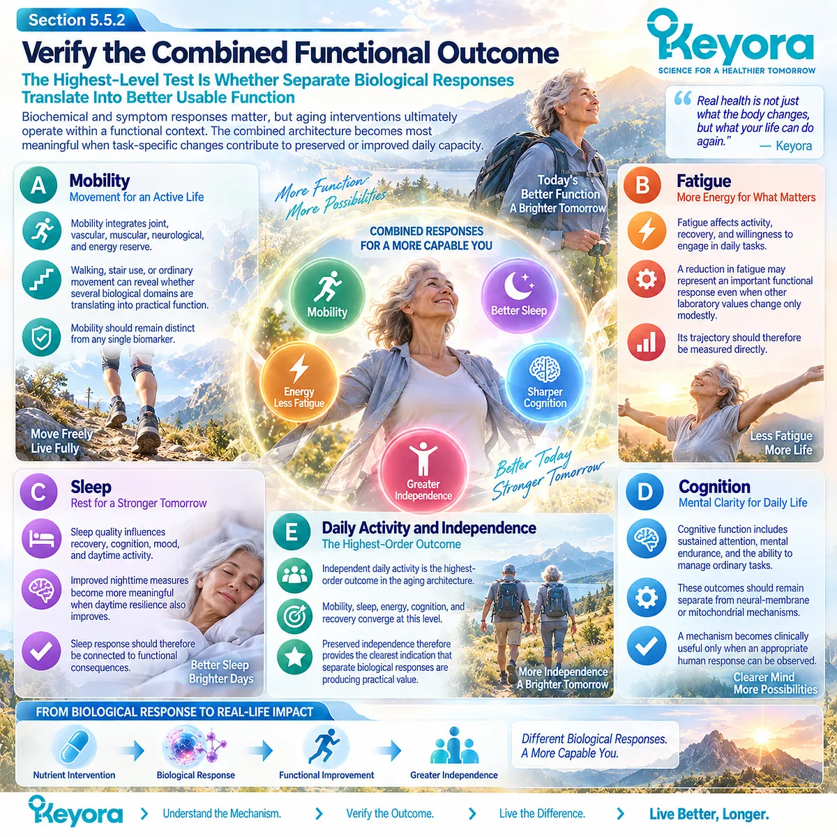Healthy aging nutrition links mobility, fatigue, sleep and cognition responses to daily independence, the functional endpoint in Keyora’s Response Attribution Rule. Healthy aging nutrition links mobility, fatigue, sleep and cognition responses to daily independence, the functional endpoint in Keyora’s Response Attribution Rule.