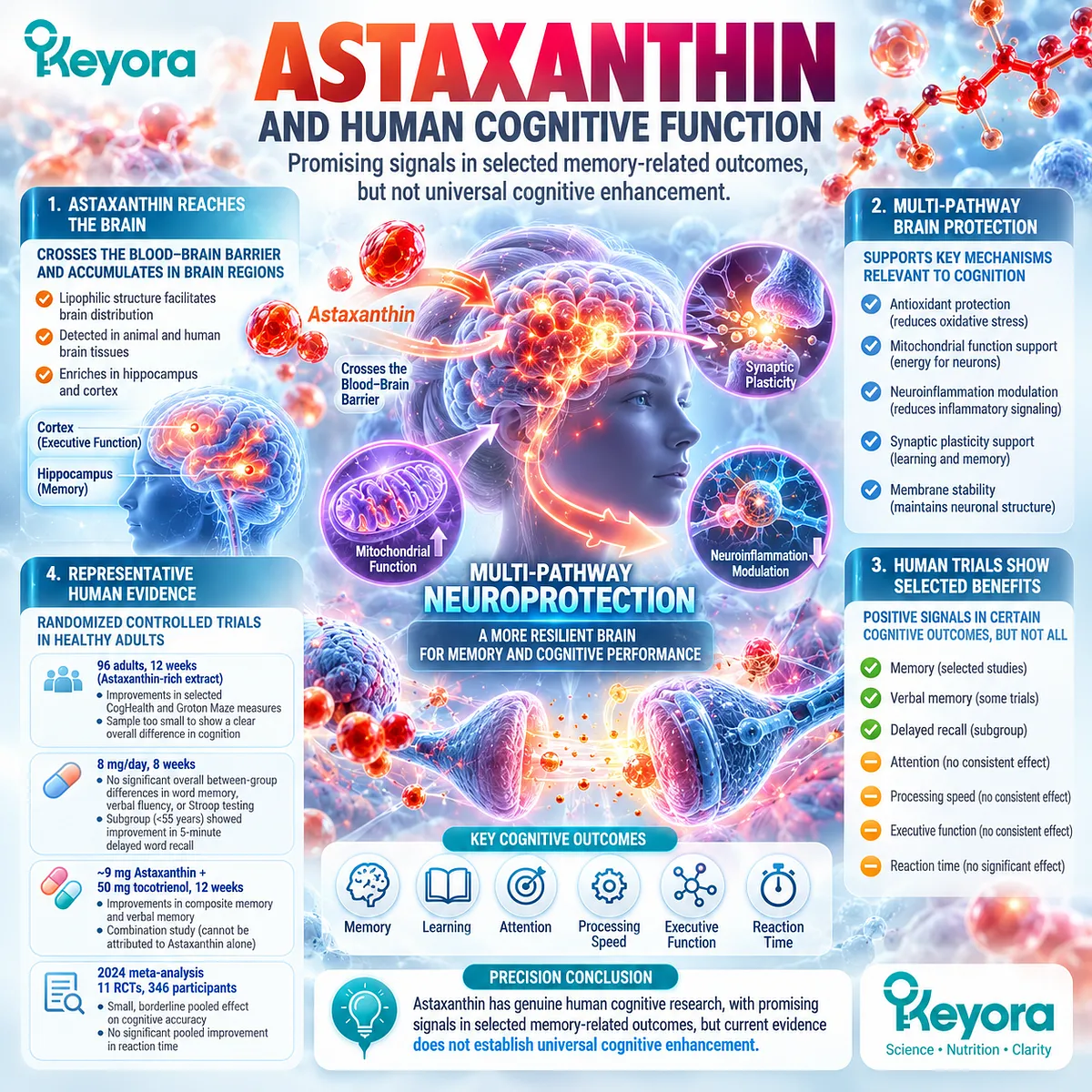 Astaxanthin cognitive support links neural oxidative stress and lipid redox balance with selected memory outcomes in the Keyora Astaxanthin Neural Fortress framework. Astaxanthin cognitive support links neural oxidative stress and lipid redox balance with selected memory outcomes in the Keyora Astaxanthin Neural Fortress framework.