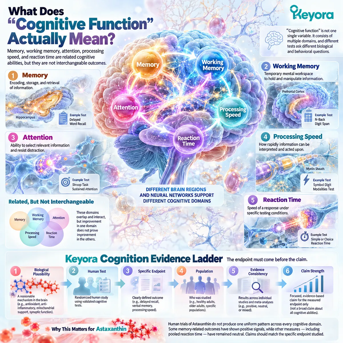 Astaxanthin cognitive support separates memory, working memory, attention, processing speed and reaction time through the Keyora Cognition Evidence Ladder. Astaxanthin cognitive support separates memory, working memory, attention, processing speed and reaction time through the Keyora Cognition Evidence Ladder.