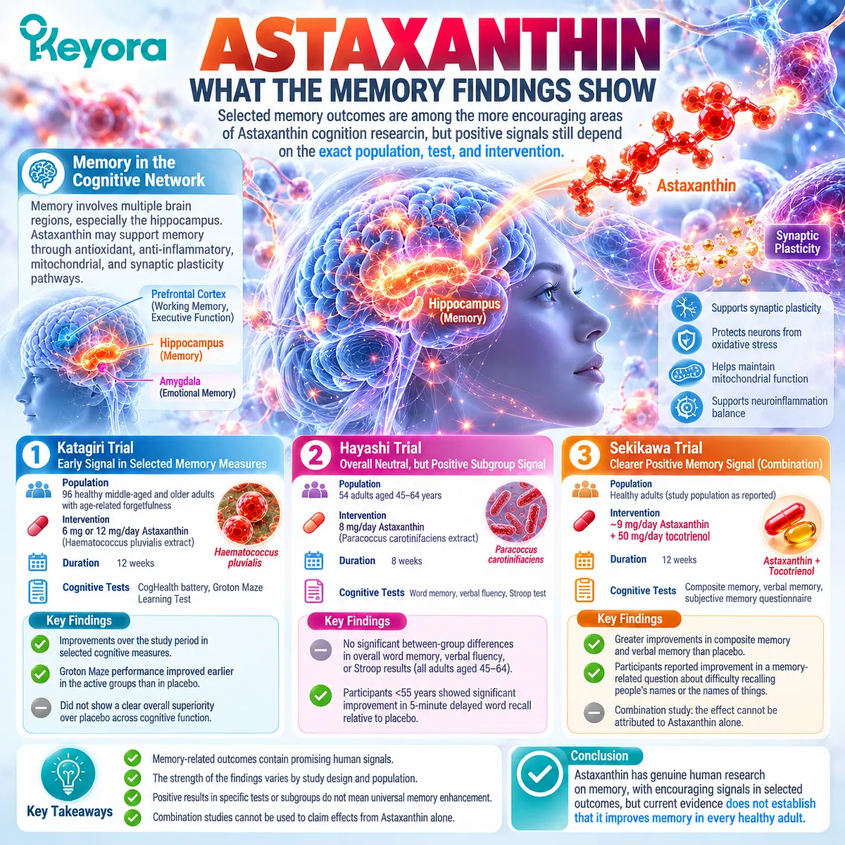 Astaxanthin memory support shows selected delayed-recall and verbal-memory signals, framed by study design and population in the Keyora Cognition Evidence Ladder. Astaxanthin memory support shows selected delayed-recall and verbal-memory signals, framed by study design and population in the Keyora Cognition Evidence Ladder.